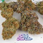 Slush Mint Cake Feminised strain by Dutch Passion