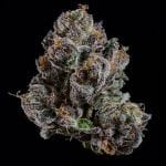 OG Hour strain by Wizard Trees