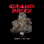 Grand Prixx strain by Wizard Trees