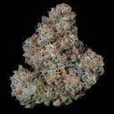 Riviera Drip strain by Nine Weeks Harvest