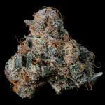 Ice Pop strain by Nine Weeks Harvest