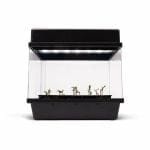 Royal Queen Seeds Autoflowering Starter Kit
