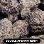 Double Afghani Kush strain by In House Genetics