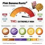 Pink Banana Runtz Ltd Edition by Dutch Passion