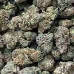 Pebble Wreck clones from Zennetix