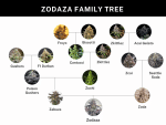 Zodaza strain by Umami Seed Co.