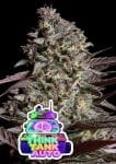 Think Tank Auto strain from Anesia Seeds