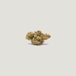 Marrakesh Feminised strain by Purple City Genetics