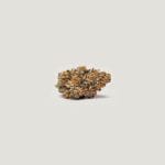Gushi strain by Purple City Genetics