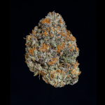 Potion Feminised Seeds-WIZT-POTI-FEM