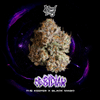 Obsidian Feminised Seeds-WIZT-OBSI-FEM