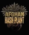 Afghan Hashplant Auto Feminised Seeds-BFS-AFHA-AUTO-FEM