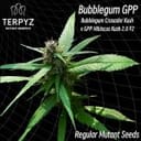 TERP-BUBBLEGPP-REG