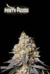 SEST-PAPU-AUTO-FEM