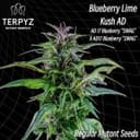 TERP-BBLKAD-REG