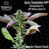 TERP-SPTGPP-REG