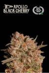 SEST-APBC-AUTO-FEM