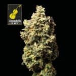 Lemonchello Haze феминизирани семена-SMANLH