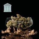 Peyote Forum Feminized Seeds-SMAN-PEYF-FEM