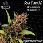 TERP-SCURRYAD-REG