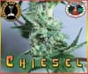 chiesel