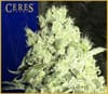 CERES-003