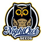 Chem 'n' Kush Auto Féminisée Semences-NOWL-CHNKU-AUTO-FEM