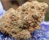Outlier Z F4 Auto Feminized Seeds-NOWL-OUTZF4-AUTO-FEM