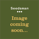Seedsman Tin Rolling Tray-SMAN-GOODS-TTRAY-D1