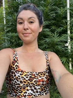 Queen of the Sun Grown
