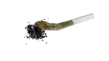 Is Your Joint of Weed Burning Too Fast?