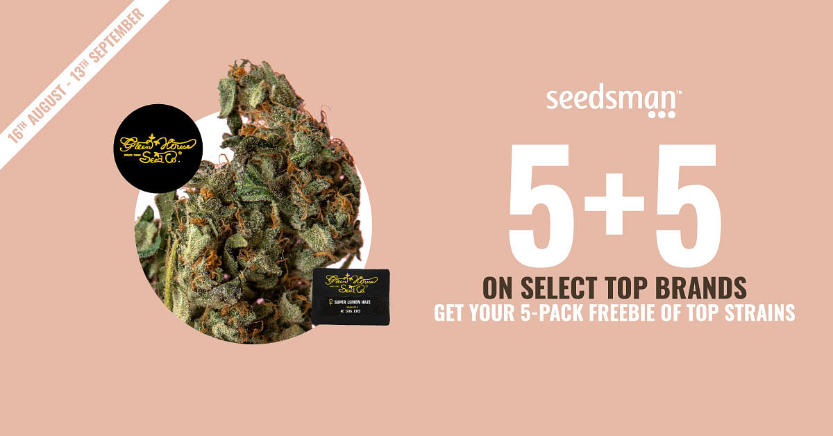 Cannabis Seeds For Sale Since 2003 | Seedsman ZA