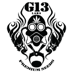 G13 Labs