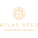 Atlas Seed