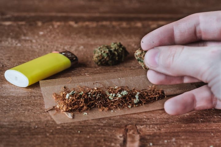 How To Roll A Spliff: Tips For A Better Roll| Seedsman Blog