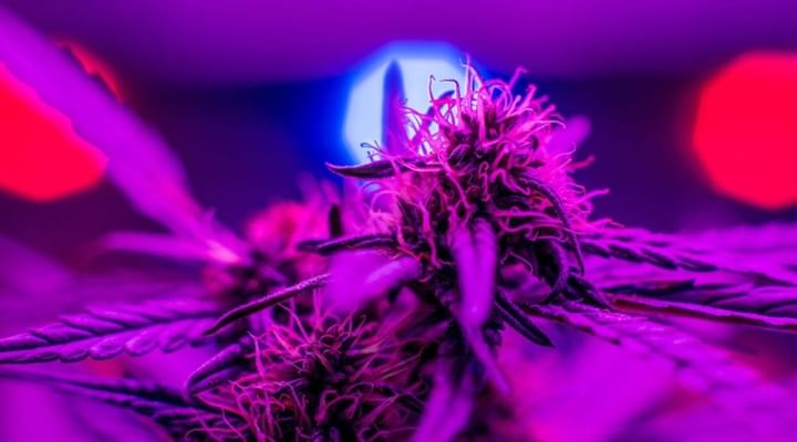 48 hours of darkness