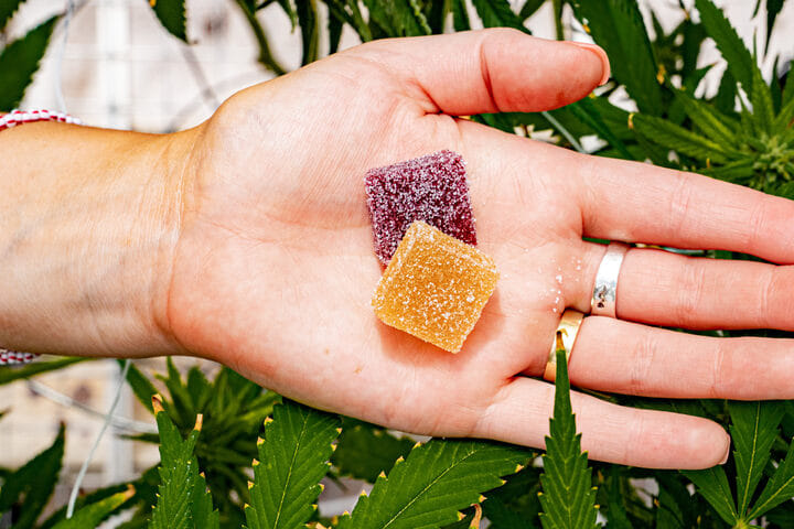 make you own cannabis gummies