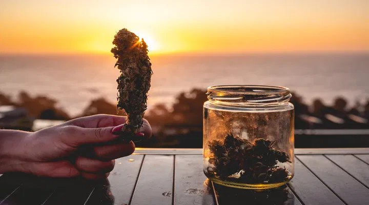 Big Cannabis Bud