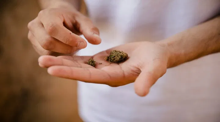Knospen auf der Handfläche