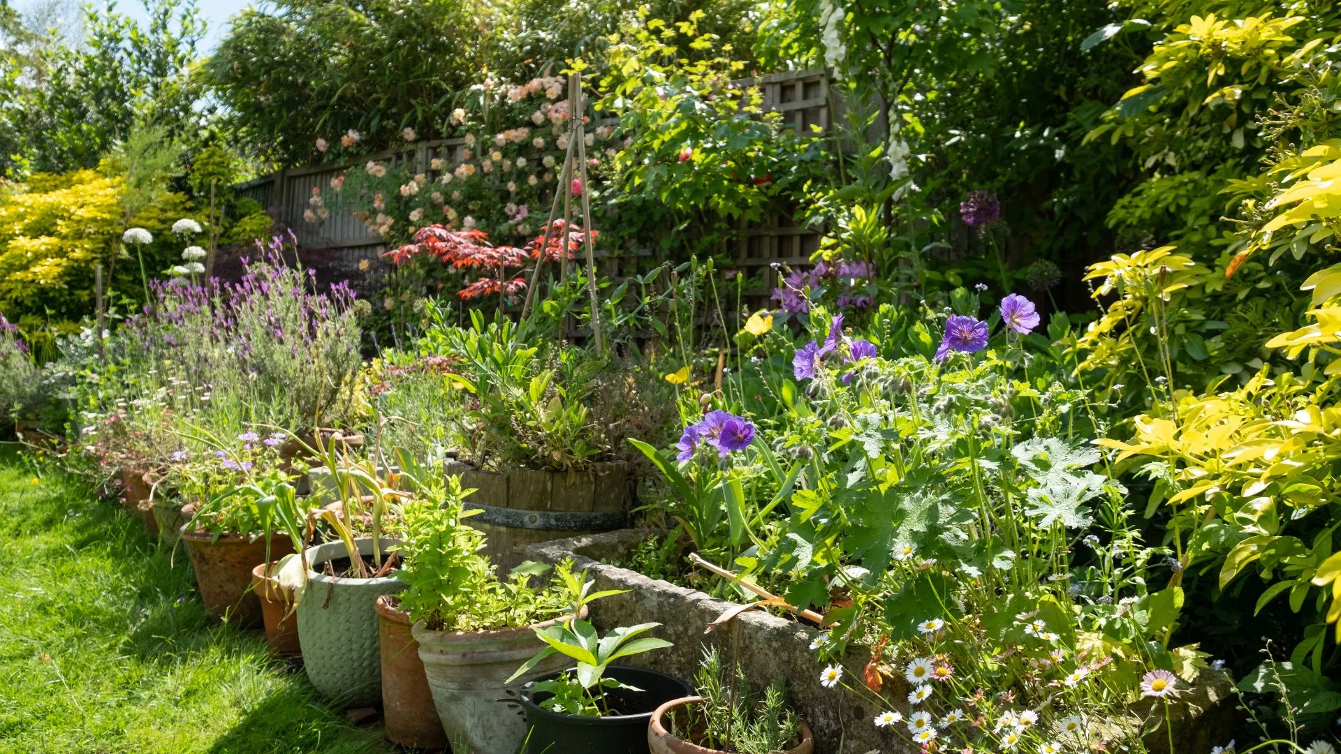 A busy garden has more hiding places