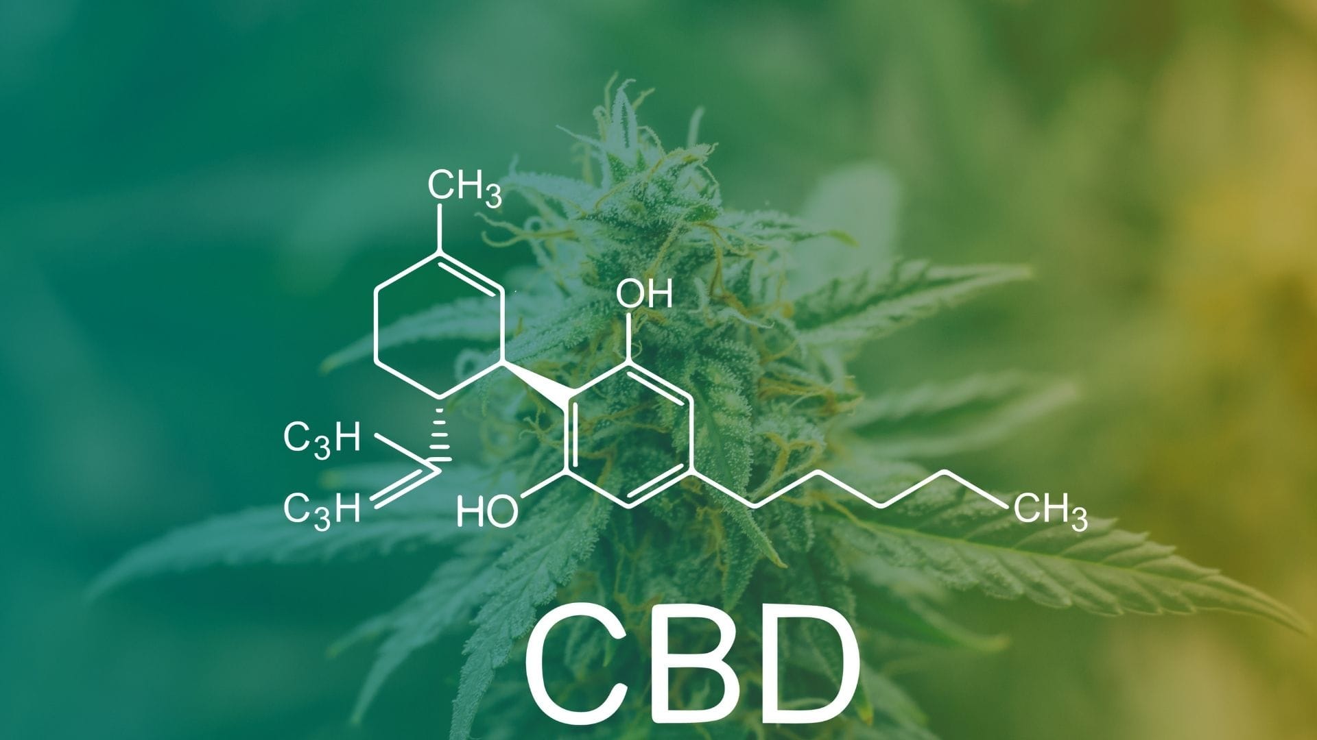 Formula for CBD