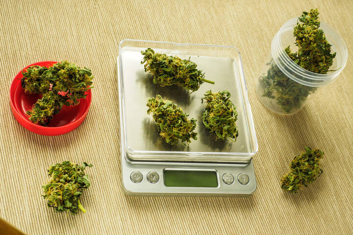 you'll need scales to weigh your cannabis harvest