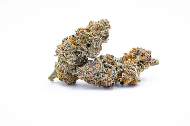 females make cannabis buds