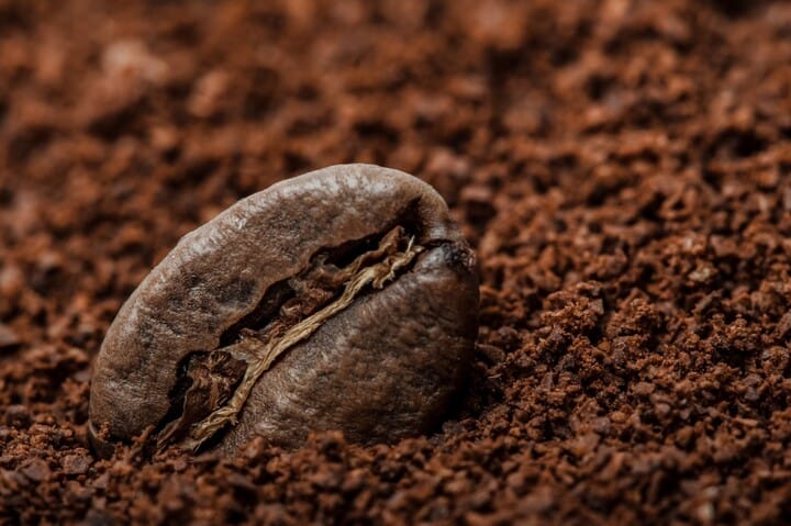 can you use coffee grounds as cannabis fertilizer?
