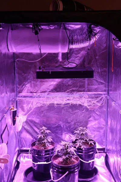 carbon filter