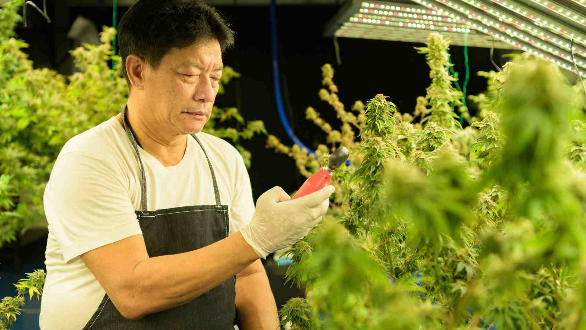 Collect data and analyze