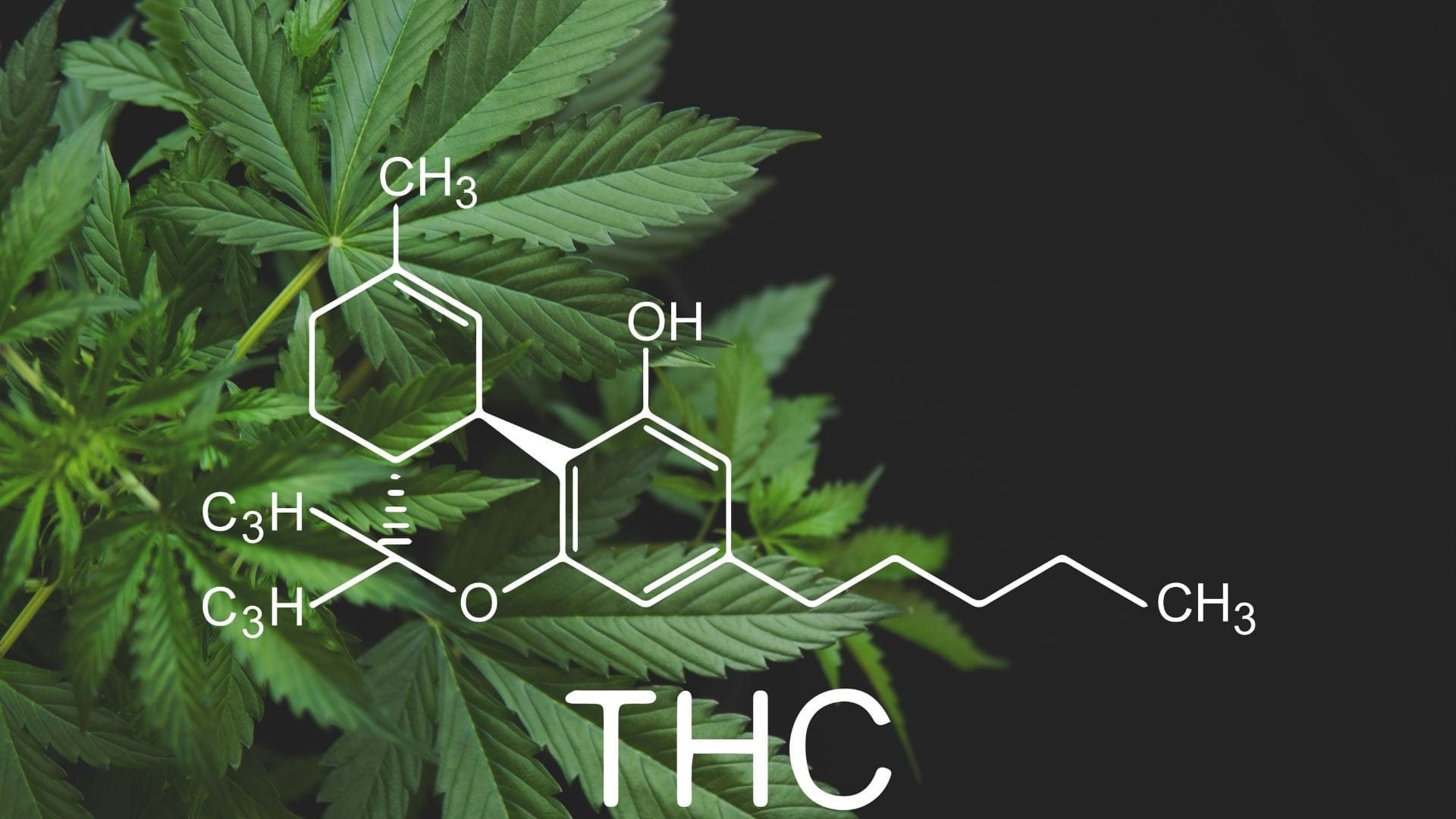 Formula For THC