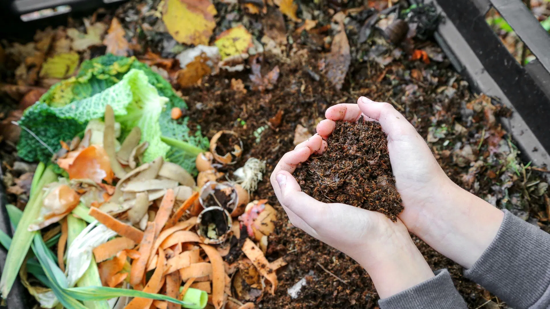 Vegan cannabis Compost