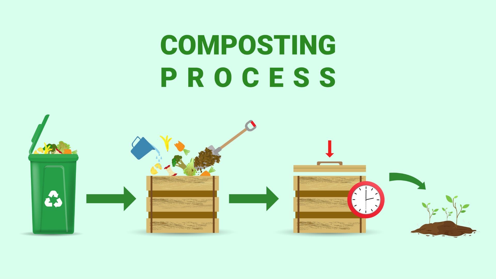 compost is a powerful ally in feeding your plants