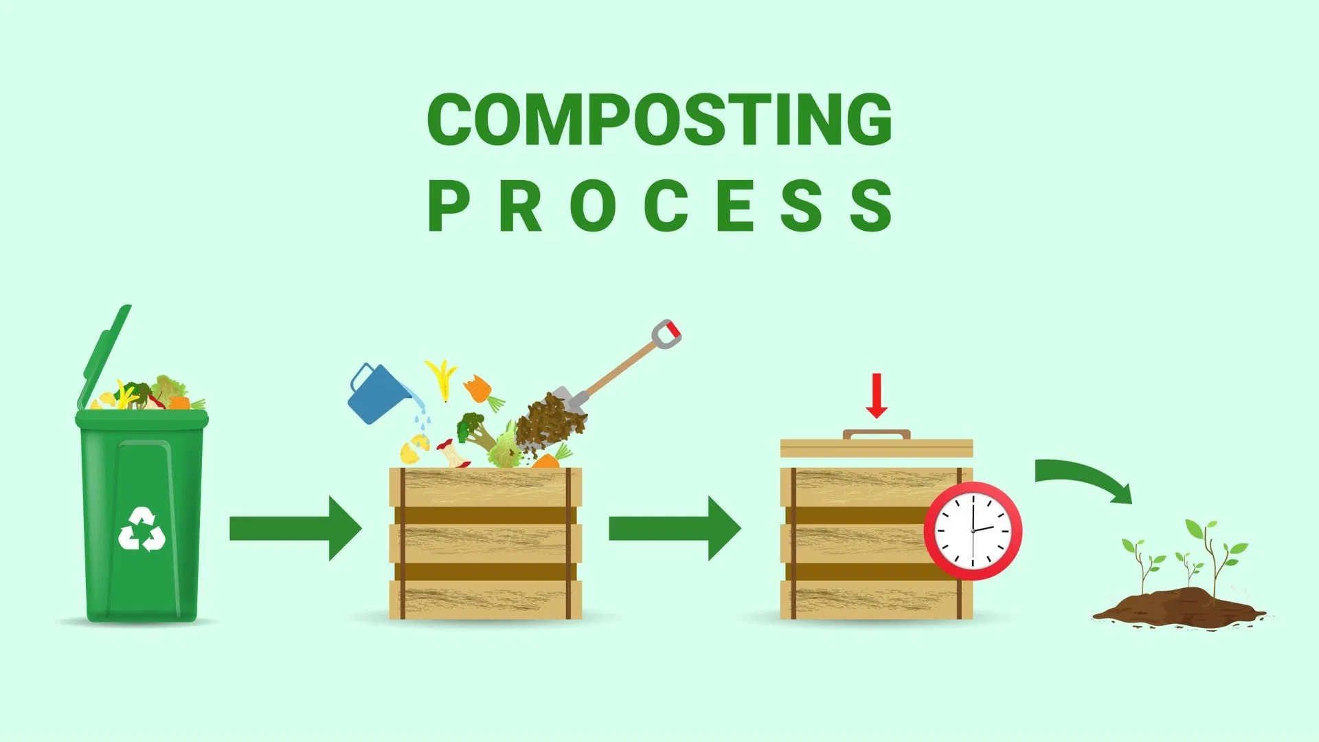 compost is a powerful ally in feeding your plants